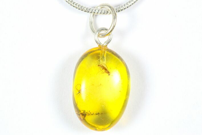 Polished Baltic Amber Pendant (Necklace) - Contains Flies! #369020